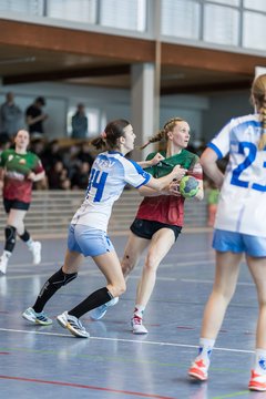 Bild 220 - F HSG Kremperheide/Muensterdorf - ATSV Stockelsdorf 2 : Ergebnis: 47:32